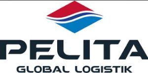 Gaji PT Pelita Global Logistik